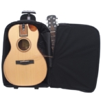 Solid Sitka / Solid African Mahogany Parlor  - FP41213C