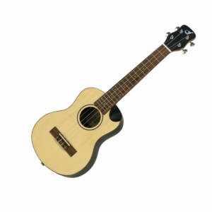 Solid Sitka/Ebony Tenor Uke UT490CE